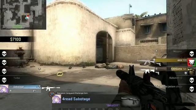 Реакция мангуста смотреть онлайн