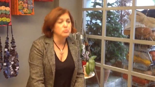 Sibel Kavaklıoğlu'dan pullu yelek anlatımı video1 смотреть онлайн