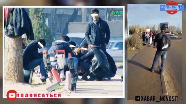 Всем найдут работу в Таджикистане | Ба ҳама кор меёбанд дар Тоҷикистон |Новости Таджикистана сегодн смотреть онлайн