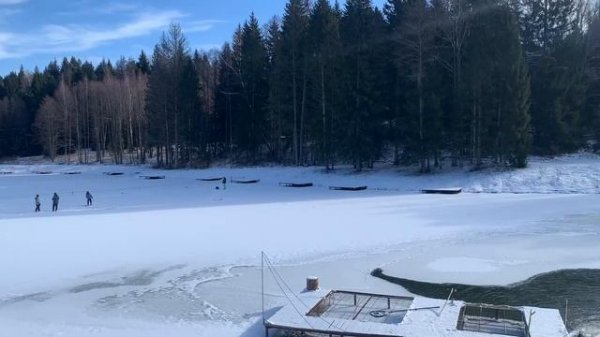 Forest Fishing 21.02