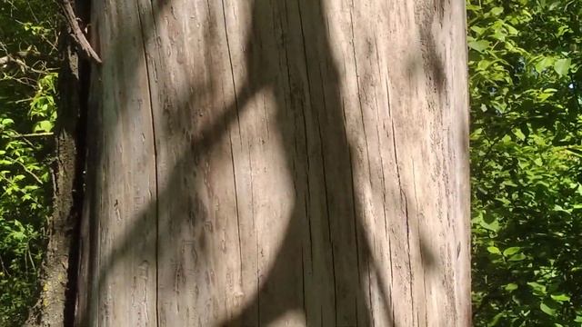 Пьяные прятки смотреть онлайн