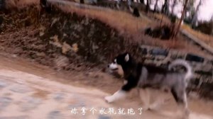 节气到了，和大王一起带大家逛逛我们的村子，參加村里的活動~【滇西小哥】