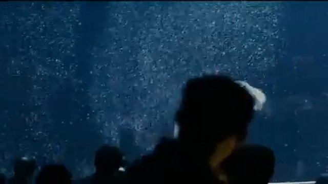 Memoirs Of A Geisha- Snow Dance2.flv