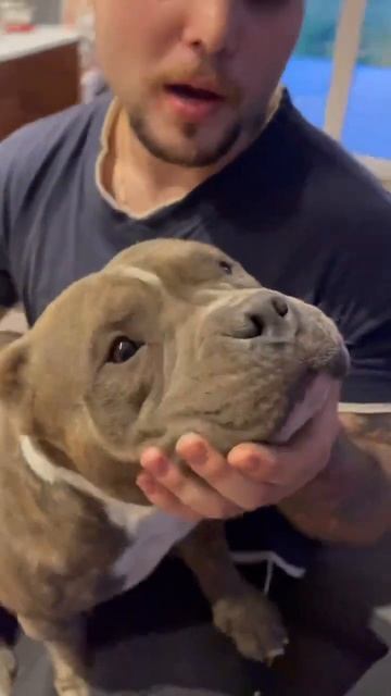 Афродита едет в Питер💋💋💋Жорик ждёт своих хозяев!!))) смотреть онлайн