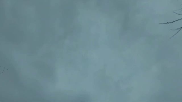 27 января 2021 г. смотреть онлайн