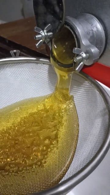 жидкое золото 🍯#карелия #дача #пасека #пчелы #мëд смотреть онлайн