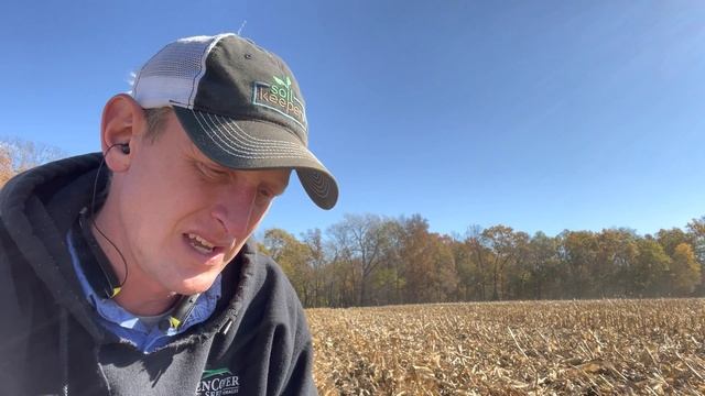Why plant Camelina?