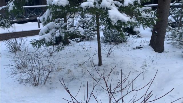 Новости с пруда.Почти зима. смотреть онлайн