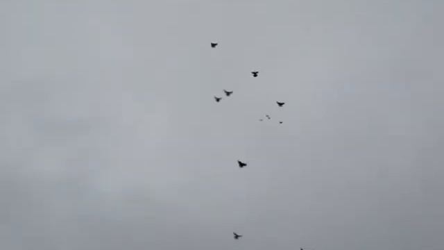 MOV00065 из верхней четверки одного забрал сокол смотреть онлайн