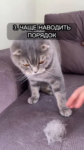 БЕЗ КОТА И ЖИЗНЬ НЕ ТА❤️ смотреть онлайн