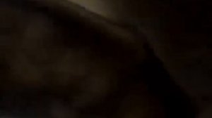 Cutest Kinkajou - in the world