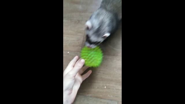 Играю :) смотреть онлайн