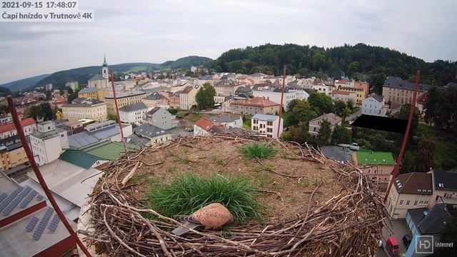 Stork Nest As A Pantry For The Kestrel | Čapí Hnízdo Jako Spižírna Poštolky