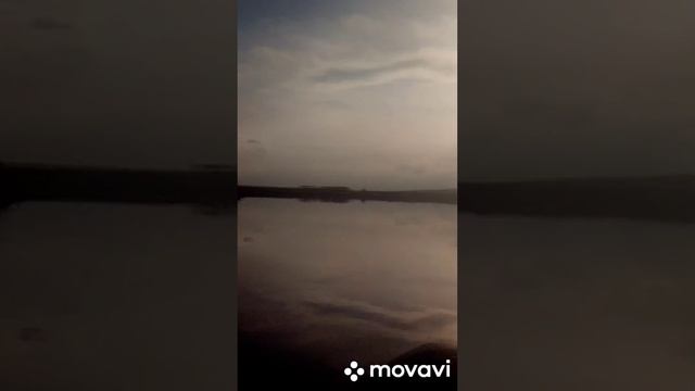 где ты рыбка золотая?)) смотреть онлайн