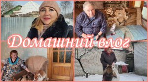 Влог/У родителей/ Папа с телефонами и хочется женится🫣Мама в рассаде и котах/ Мы с Кузькой скачем🐕