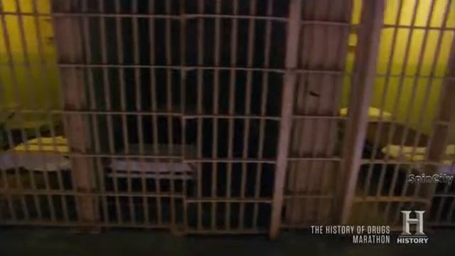 Взлет и падение Пабло Эскобара 0017 смотреть онлайн