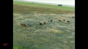 группа Бумер - Взгляну с небес