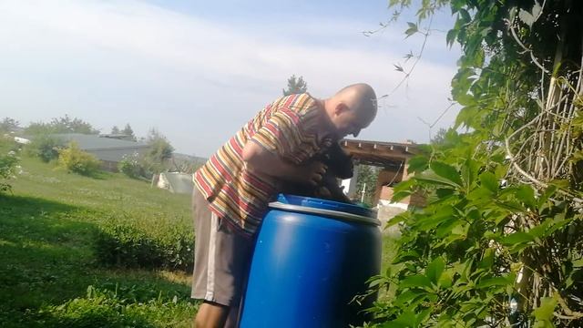 В жару окунул Фифу в бочке с водой. смотреть онлайн