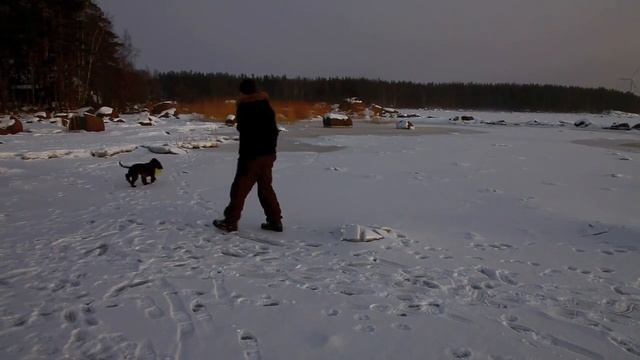 Playing with Jekku 3 смотреть онлайн