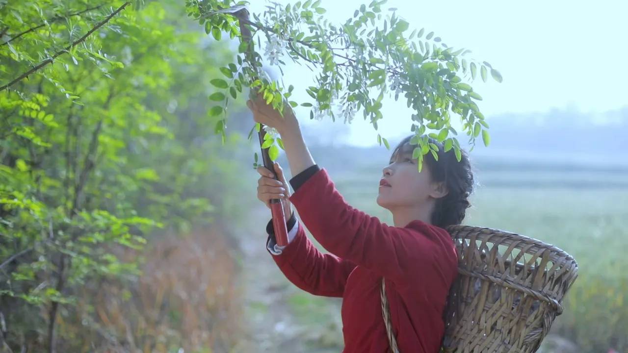 Вся жизнь Чеснока | Я правда не могу придумать креативное название! Пожалуйста, помоги подумать! смотреть онлайн