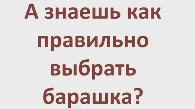Скоро Курбан Айт смотреть онлайн