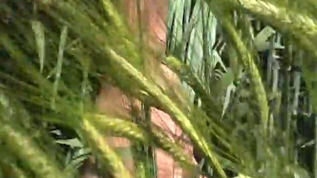 Over the Fence: Balancing act between cashflow crops & conservation farming - Dec 2011 смотреть онлайн