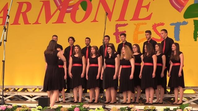 PZM "Mato Bučar" - Istarski tanac br 1. (B. Starc) смотреть онлайн