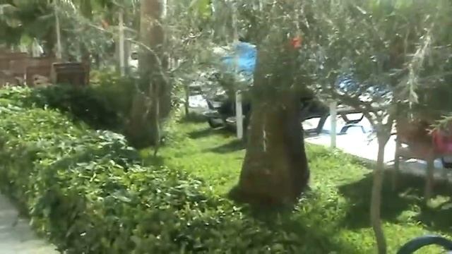 Турция, Сиде. Отель Sural Resort 5. Türkiye, Side.  Hotel Sural Resort 5.