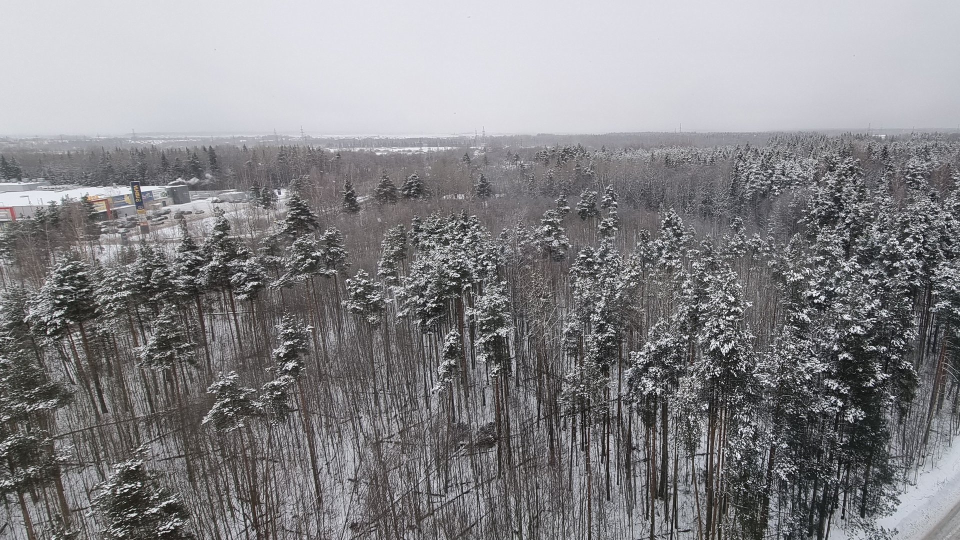 Зимние красоты Кингисеппского района