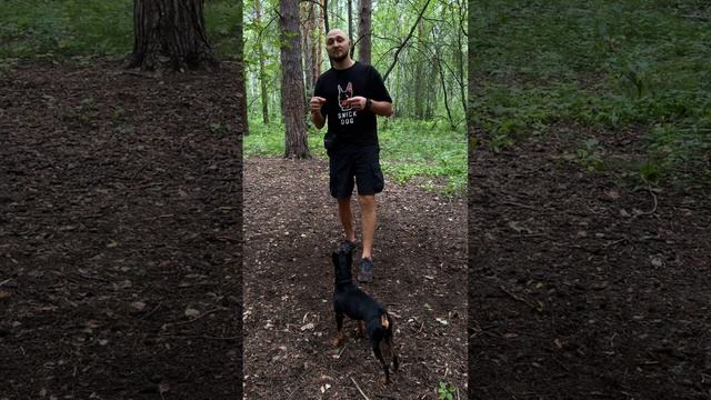 команда - Служить смотреть онлайн