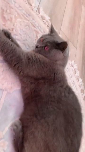 #subscribetomychannel смотреть онлайн