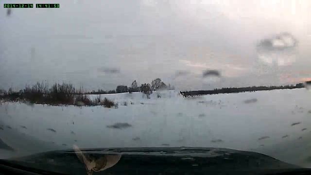 Поездка по лесу смотреть онлайн