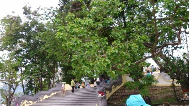 вид на Нячанг с пагоды Будды(Nha Trang) смотреть онлайн