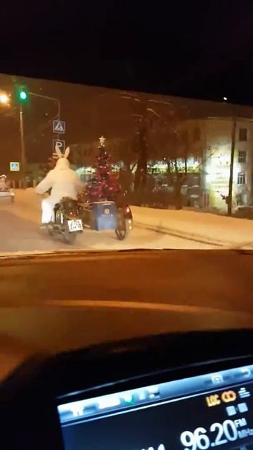 Прикол😆Зайцы на дорогах Ижевска😆 смотреть онлайн