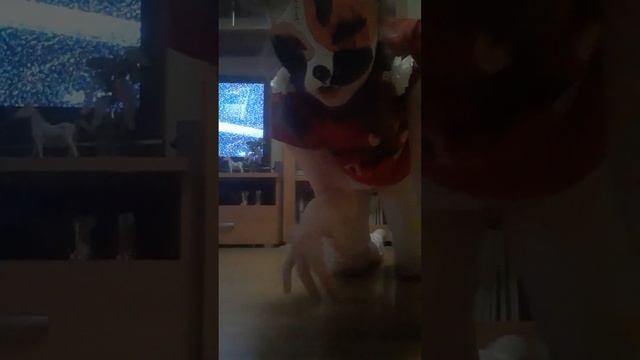 туториал по ходьбе,бегу,рысь,галоп