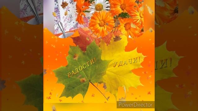 Скоро осень, Господа, скоро осень... 🍁🍂