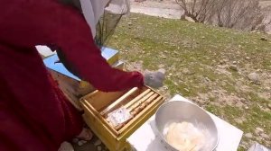 03.03.2023 Повседневная жизнь кочевого народа в Иране (2023)