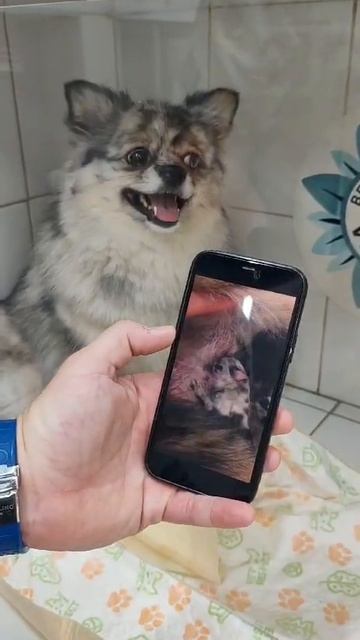 Как быстро растут дети! Встретились спустя 2 года