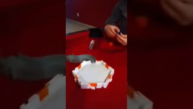 Evan's Hexbug Video