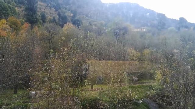 Правда о молоке