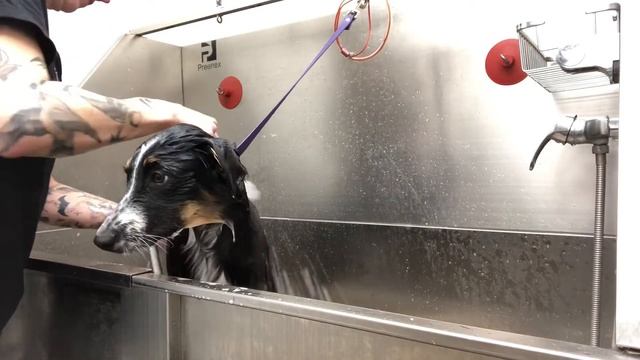 Miss Jasmine’s First Spa Day ￼