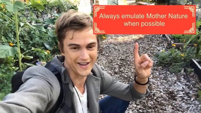 Using the Right Mulch: Arborist Wood Chips смотреть онлайн