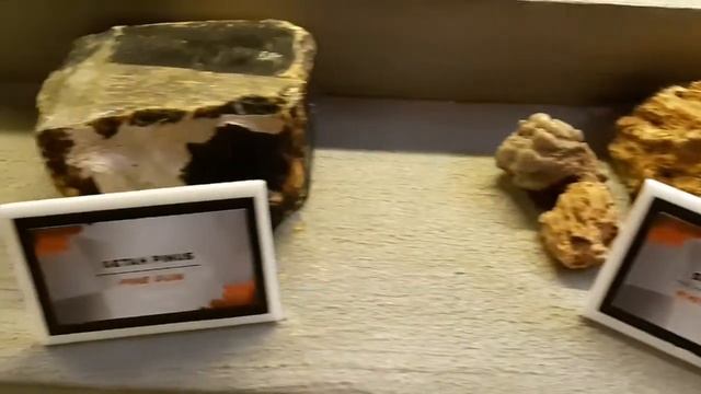 MUSEUM KEMENTRIAN LINGKUNGAN HIDUP DAN KEHUTANAN, Ir. Djamaludin Haryokusumo смотреть онлайн