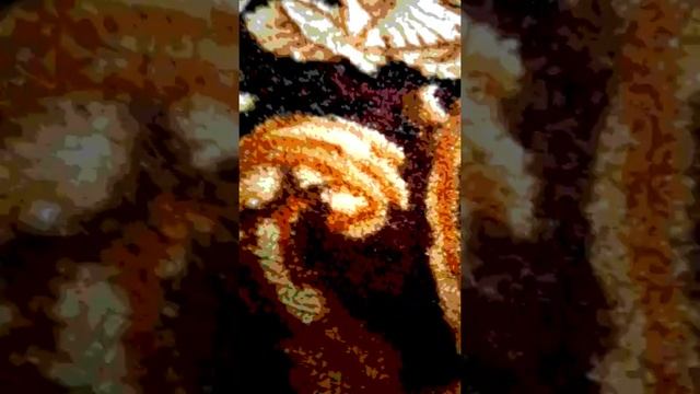 Анимация из Лего 10 жизнь летучей мыши смотреть онлайн