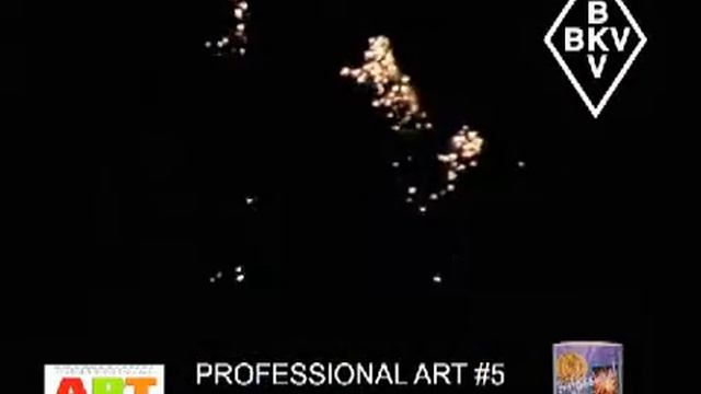 Professional Art 05 - 5005 смотреть онлайн