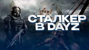 ТОПОВЫЙ DAYZ STALKER-RP СЕРВЕР ДЛЯ НОВИЧКОВ! ОБЗОР ПРОЕКТА И СЕРВЕРА!