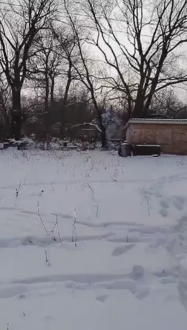 Дом Сухие Гаи смотреть онлайн