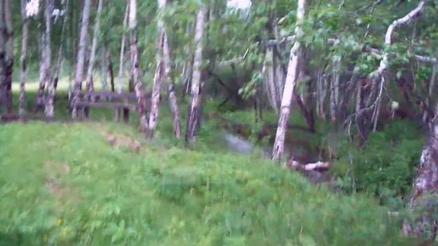 Поездка в лес.Первое видео на канале! смотреть онлайн