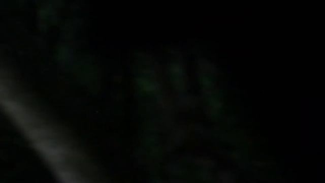 Gekata. Vadim Goryamskiy artist