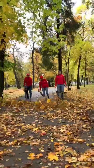 Воздуходувка смотреть онлайн